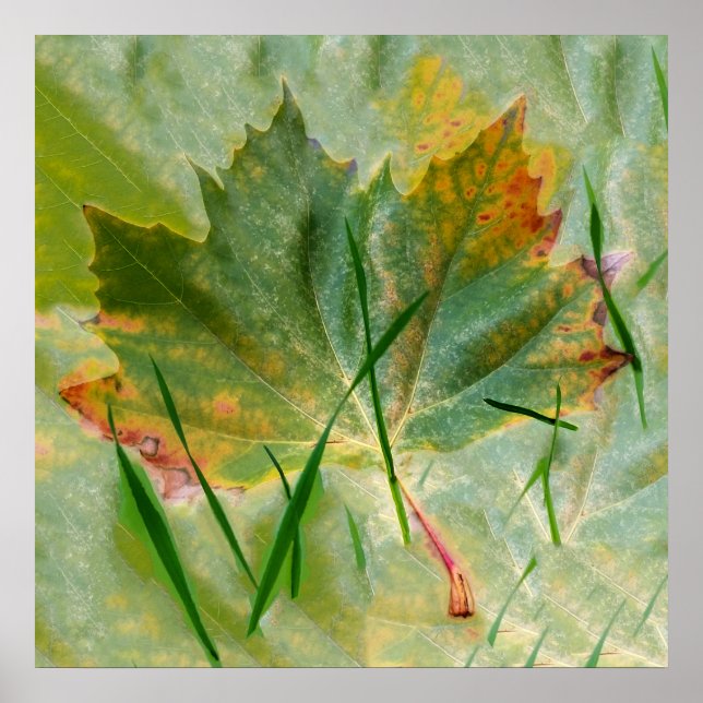 Late autumn poster (Front)