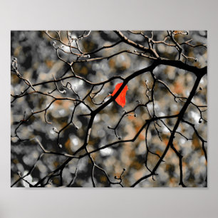 Late Autumn Poster