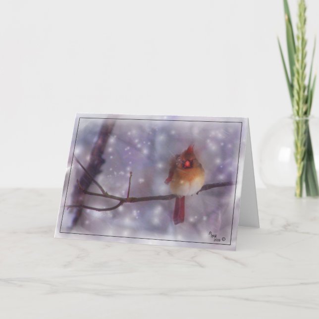 Late Cold Day Lady Cardinal Holiday Card (Front)
