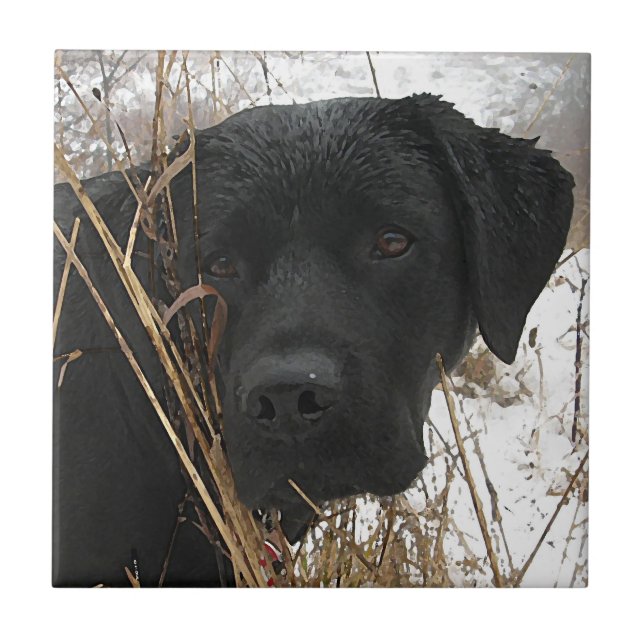 Late Season Hunt - Black Lab - Labrador Tile (Front)