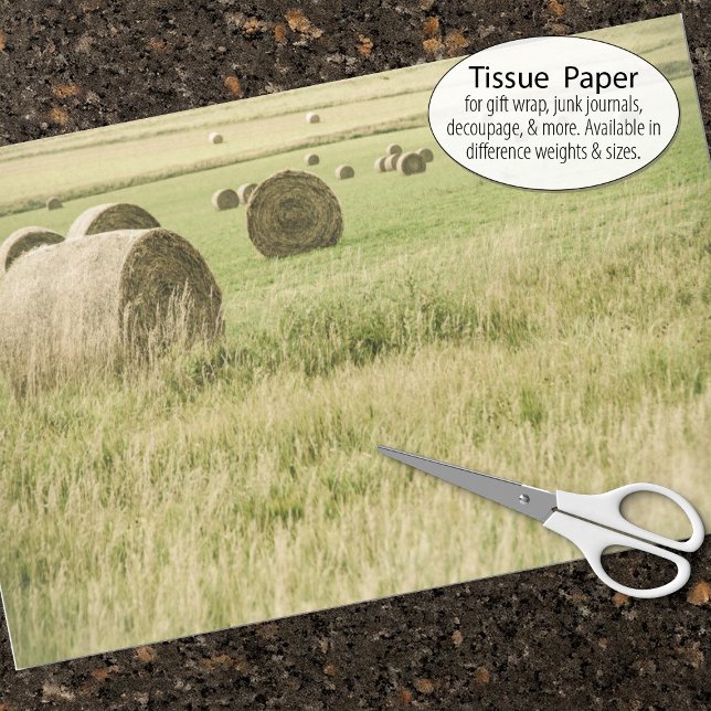 Late summer hay rolled up in a farm field tissue paper (Tissue paper for gift wrap and decoupage)