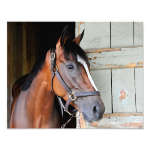 Latigo Trail Photo Print