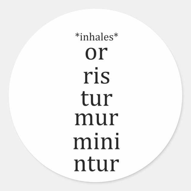 Latin Language School Student Funny Classic Round Sticker (Front)