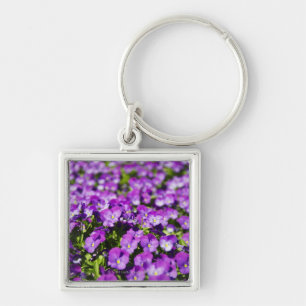 Latin name: Viola tricolor subsp. hortensis. Key Ring