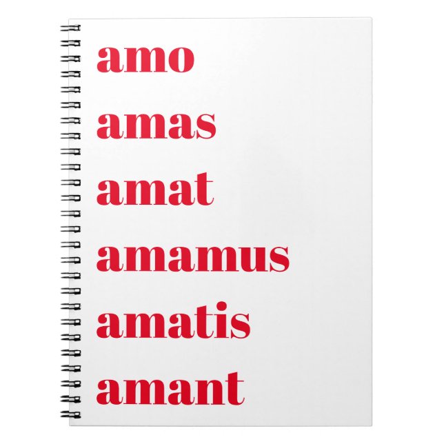 Latin Notebook, Amo Amas Amat, Schooldays Theme Notebook (Front)