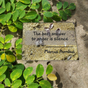 Latin quote silence philosophy poster