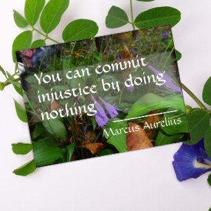 Latin wisdom quote about justice poster