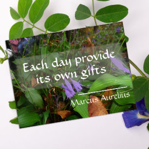 Latin wisdom quote Each day provides poster
