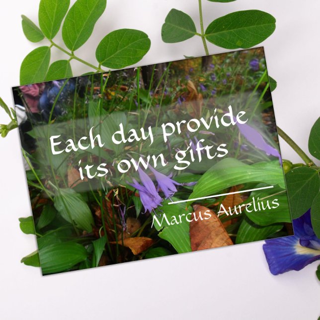 Latin wisdom quote Each day provides poster (Creator Uploaded)