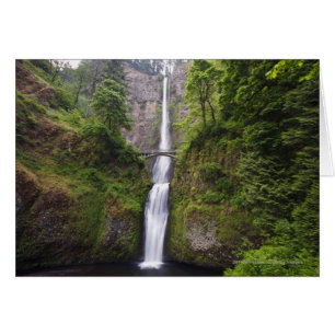 Latourell Falls & Bridge Columbia River Gorge