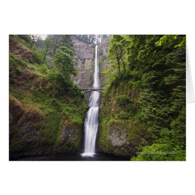 Latourell Falls & Bridge Columbia River Gorge (Front Horizontal)