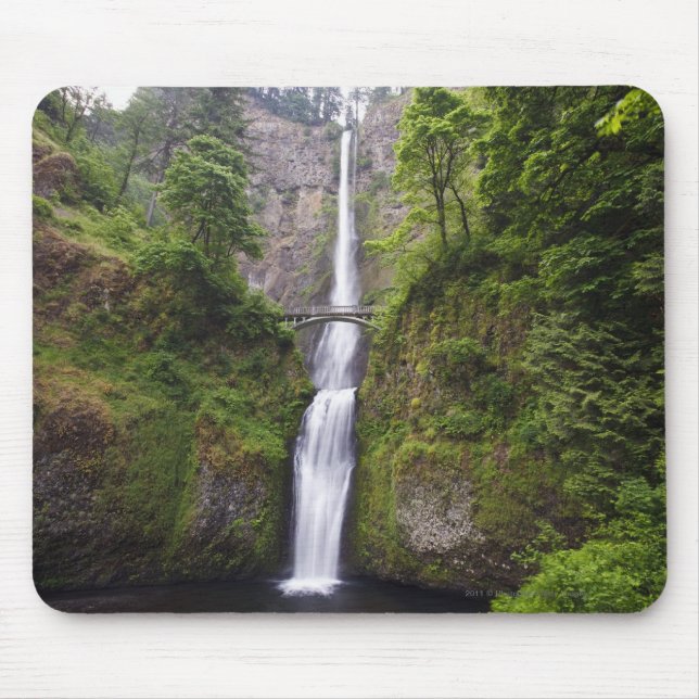 Latourell Falls & Bridge Columbia River Gorge Mouse Pad (Front)