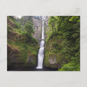 Latourell Falls & Bridge Columbia River Gorge Postcard
