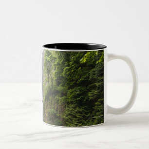 Latourell Falls & Bridge Columbia River Gorge Two-Tone Coffee Mug