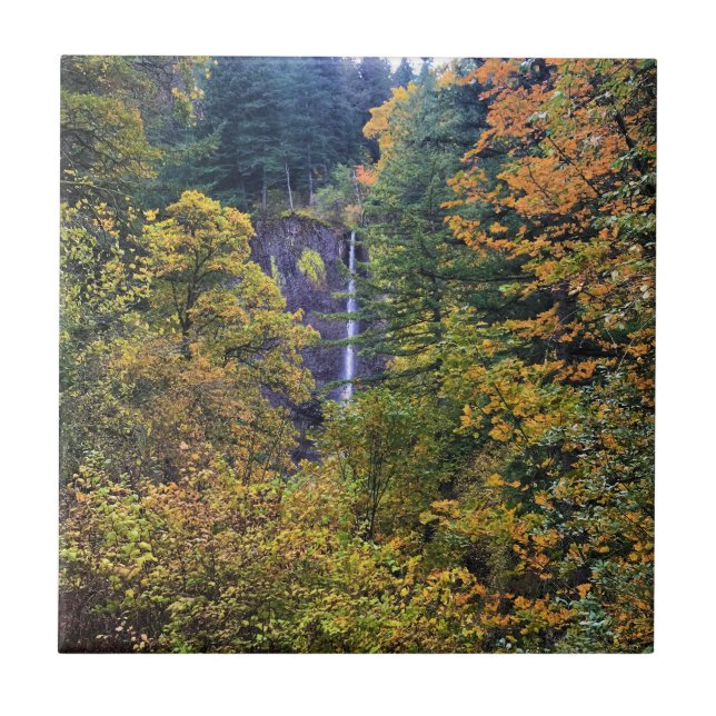 Latourell Falls, Columbia River Gorge, Oregon Ceramic Tile (Front)