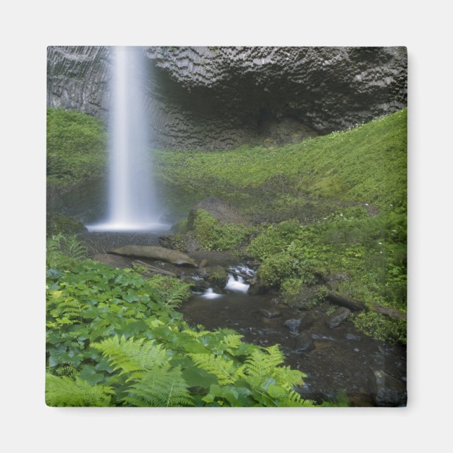 Latourell Falls, Columbia River Gorge, Oregon, Magnet (Front)