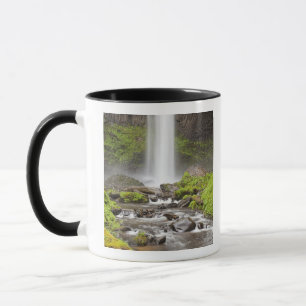 Latourell Falls, Columbia River Gorge, Oregon, Mug