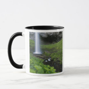 Latourell Falls, Columbia River Gorge, Oregon, Mug