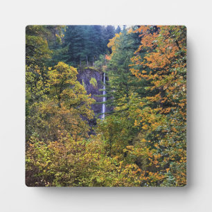 Latourell Falls, Columbia River Gorge, Oregon Plaque