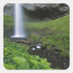 Latourell Falls, Columbia River Gorge, Oregon, Square Sticker