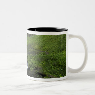 Latourell Falls, Columbia River Gorge, Oregon, Two-Tone Coffee Mug
