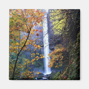 Latourell Falls, Oregon Magnet