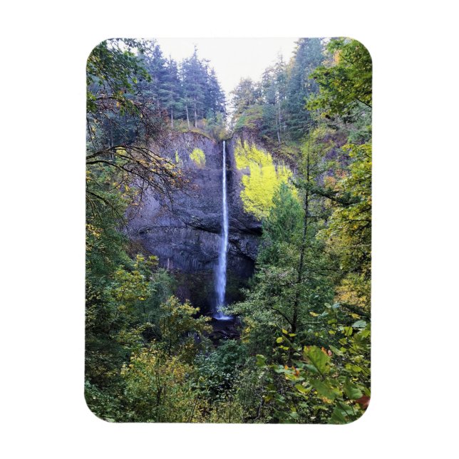 Latourell Falls, Oregon Magnet (Vertical)