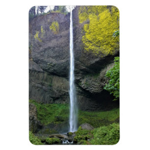 Latourell Falls, Oregon Magnet