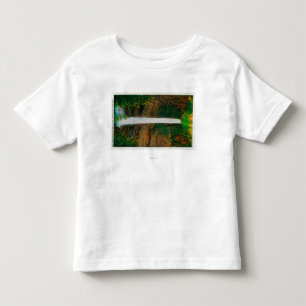 Latourelle Falls in Columbia River Gorge Toddler T-Shirt