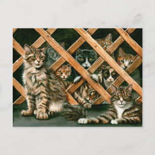 Lattice Cats Postcard