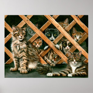 Lattice Cats Poster, tabby's tuxedos kmcoriginals Poster