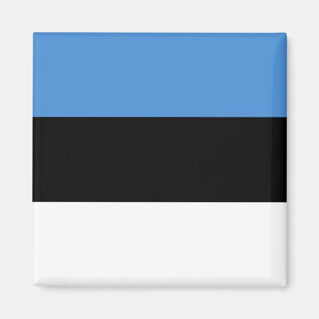 Latvia Flag Magnet (Front)
