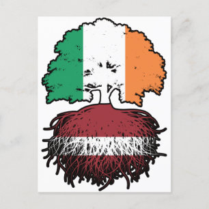 Latvia Latvian Irish Ireland Tree Roots Flag Postcard
