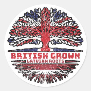 Latvia Latvian Uk United Kingdom British Tree Classic Round Sticker