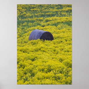Latvia, Northeastern Latvia, Vidzeme Region, 2 Poster