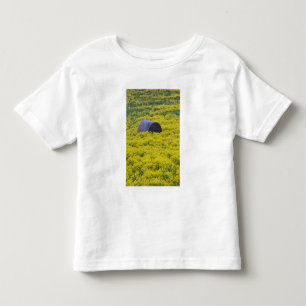 Latvia, Northeastern Latvia, Vidzeme Region, 2 Toddler T-Shirt
