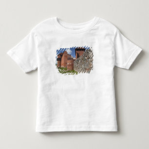 Latvia, Northeastern Latvia, Vidzeme Region, 2 Toddler T-Shirt