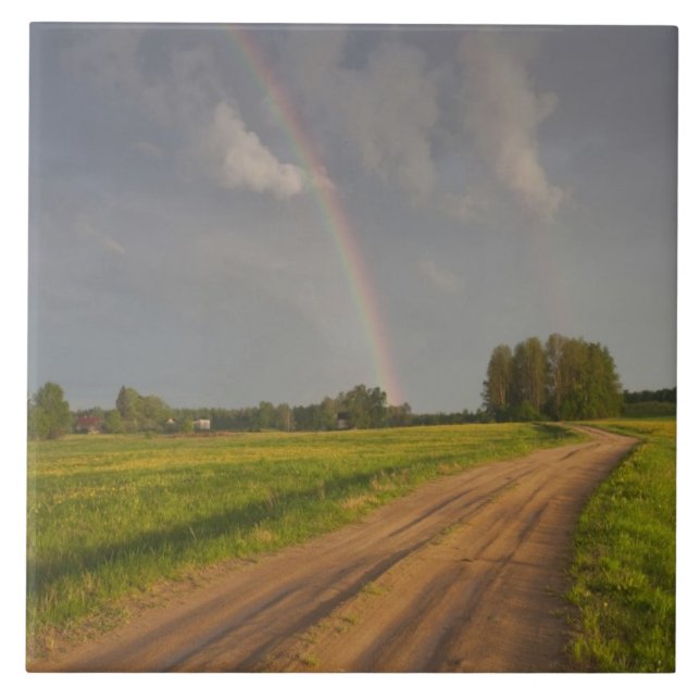Latvia, Northeastern Latvia, Vidzeme Region, 4 Ceramic Tile (Front)