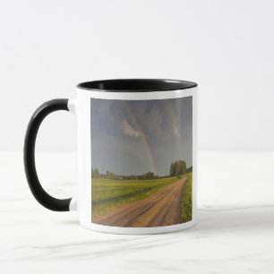 Latvia, Northeastern Latvia, Vidzeme Region, 4 Mug