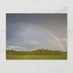 Latvia, Northeastern Latvia, Vidzeme Region, 5 Postcard