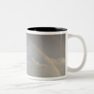 Latvia, Northeastern Latvia, Vidzeme Region, 5 Two-Tone Coffee Mug