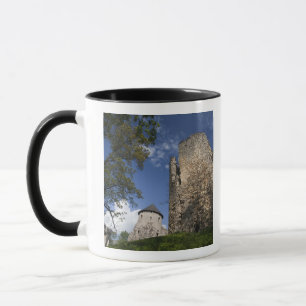 Latvia, Northeastern Latvia, Vidzeme Region, Mug