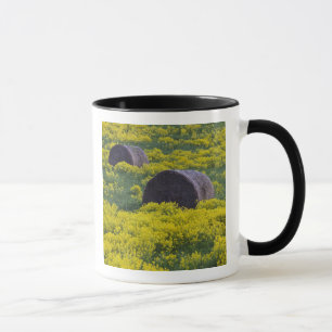 Latvia, Northeastern Latvia, Vidzeme Region, Mug