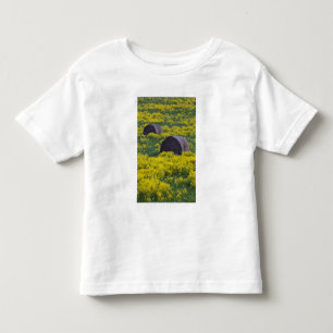 Latvia, Northeastern Latvia, Vidzeme Region, Toddler T-Shirt