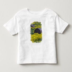 Latvia, Northeastern Latvia, Vidzeme Region, Toddler T-Shirt