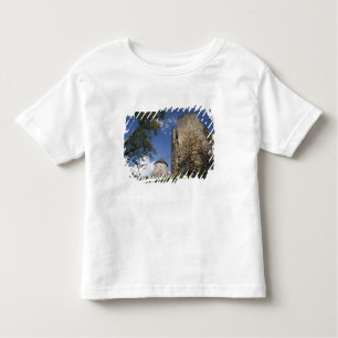 Latvia, Northeastern Latvia, Vidzeme Region, Toddler T-Shirt