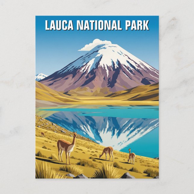 Lauca National Park Chile Travel Postcard (Front)