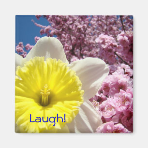 Laugh! magnet Yellow Daffodil Flower Pink Blossoms