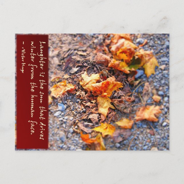 Laugher is the sun... postcard (Front)