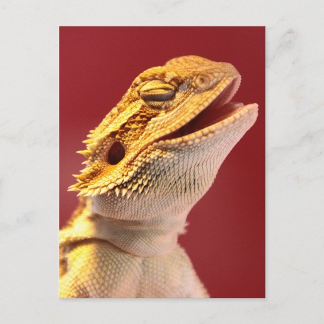 Laughing Bearded Dragon Postcard (Front)